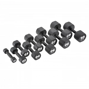 Polyurethane dumbbell set 1-10 kg